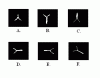 pt.gif