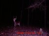 MDGC0035.jpg