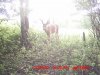 MDGC0017.jpg