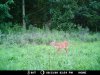 Trail Camera 010.jpg
