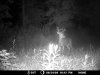 Trail Camera 034.jpg