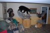 Man Cave 002 (Large).jpg