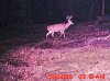 10 pt bk.jpg