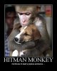 hitman_monkey.jpg