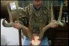 poachedbuck1.jpg