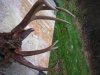 DSCN5440 (Small).JPG