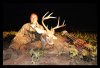 09 Poolsville buck Andy ps (Large).jpg