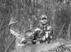 Copy of Deer#2.jpg