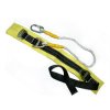 safety belt.jpg