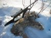 DSCN3072.jpg