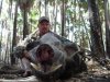 big elseyhog.jpg