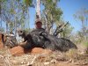 bigking boar2.jpg