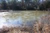 pond2.jpg