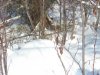 DSCN3096.jpg