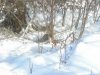 DSCN3095.jpg
