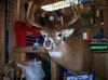 fly pics 383.jpg