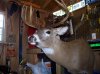 fly pics 386.jpg