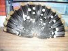 DSCN3107.jpg