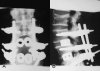 264_2006_76_Fig2_HTML.jpg
