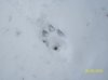 100_0313.jpg