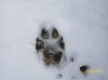100_0319.jpg