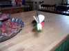 fly pics 006.jpg