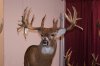 RICHIES ILLINOIS DEER SHOW 2010 021.jpg