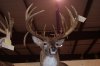 RICHIES ILLINOIS DEER SHOW 2010 025.jpg