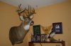 IMG_3372o.JPG