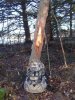 100_0504.jpg