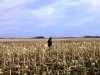 Iowa 178.jpg