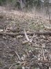 Iowa 210.jpg