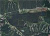 Lease Sat View.jpg
