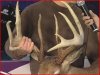 Mich-outdoors tv 7 153.5'.JPG