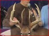 Mich-outdoors tv 6 153.5'.JPG