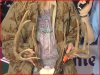 Michigan womens crossbow record 2.JPG