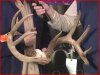 Mich-outdoors tv home made long bow 2.JPG