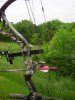 bow magnet 057 (Large).jpg