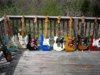 guitars (Medium).jpg