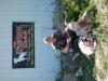 oklahoma hunting trip 049.jpg