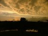 DSCF5537.jpg