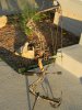 DSCN0630.jpg