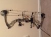 bow1.jpg