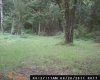 DSC_0017.jpg