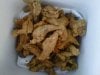 IMG00007-20120107-1735.jpg