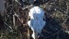 2012-03-08_16-44-46_296.jpg