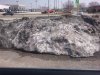 2012-03-15 12.12.26.jpg