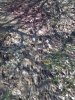 mineralpic.jpg