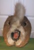 twisted-taxidermy-deer-butt-teeth.jpg