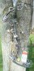 DSCF0416.jpg